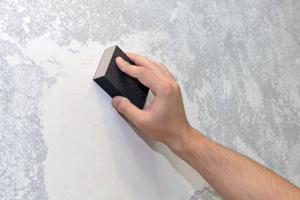 Best Environmental Consulting for Mold Prevention  in Mexico, IN