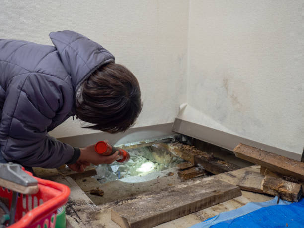 Best Post-Remediation Verification Testing  in Mexico, IN