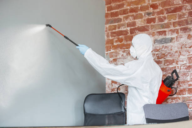 Best Biohazard Mold Removal  in Mexico, IN
