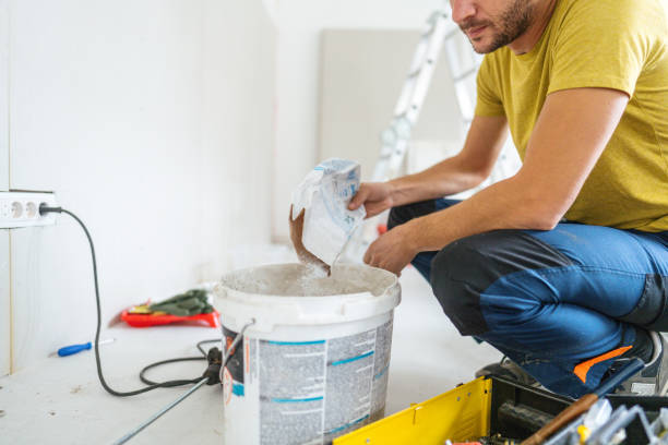 Best Industrial Mold Remediation  in Mexico, IN