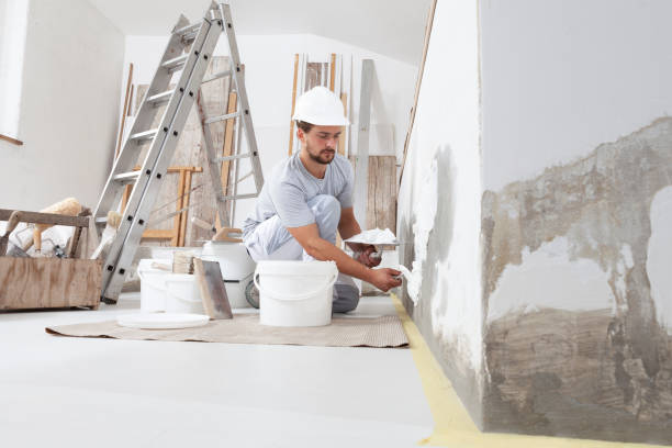 Best Mold Damage Restoration  in Mexico, IN