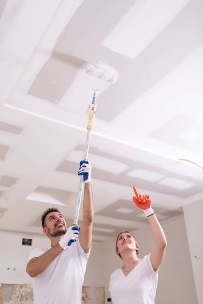Best Mold Remediation for Rental Properties  in Mexico, IN