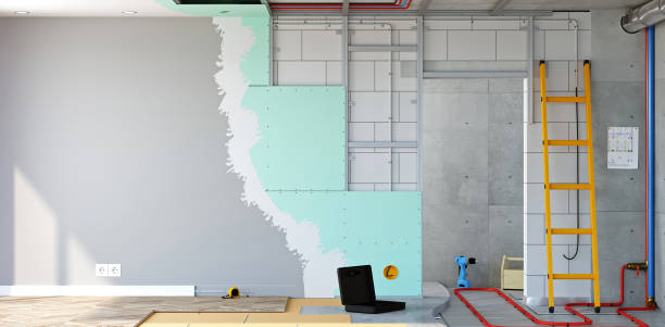 Best Commercial Mold Inspection  in Mexico, IN