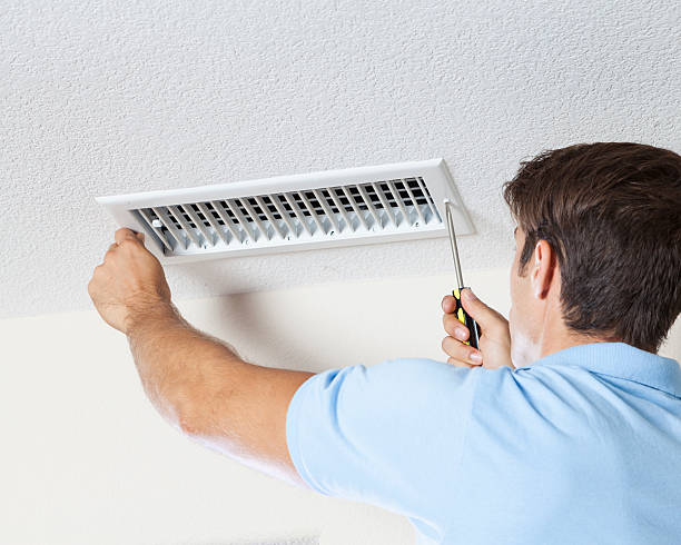 Best Asbestos and Lead Testing During Mold Inspection  in Mexico, IN