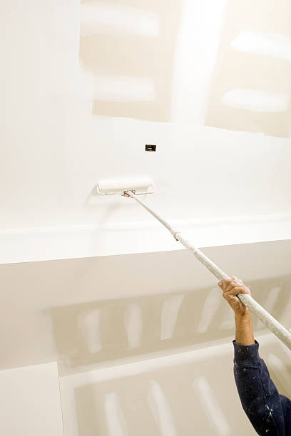 Best Dehumidification Services  in Mexico, IN