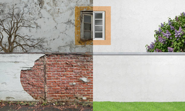 Best Real Estate Mold Inspection  in Mexico, IN