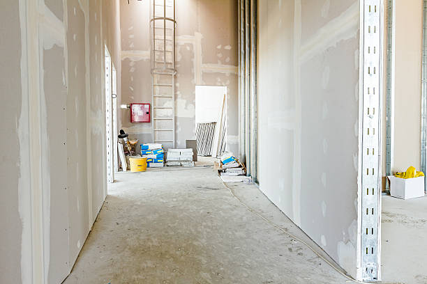 Professional Mold Removal in Mexico, IN