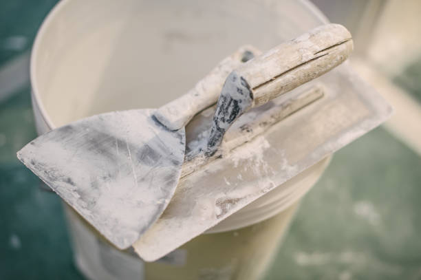 Best Attic Mold Removal  in Mexico, IN