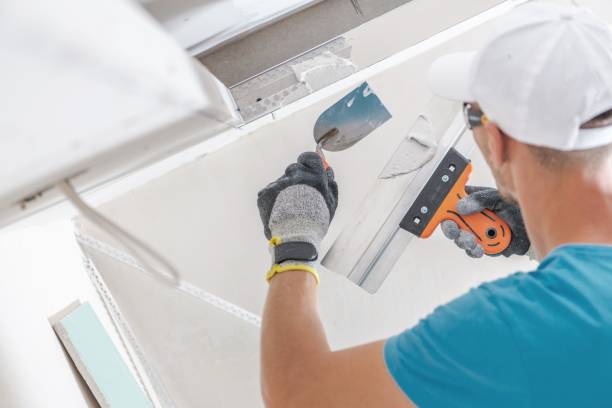 Best Water Damage & Mold Remediation  in Mexico, IN